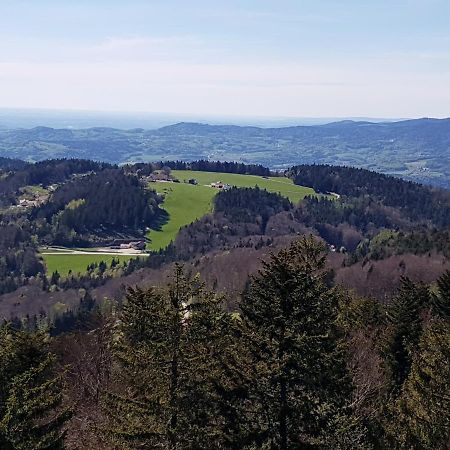 Ferienwohnung 32 Im Ferienland Sonnenwald - Bayerischer Wald Schöfweg Exterior foto