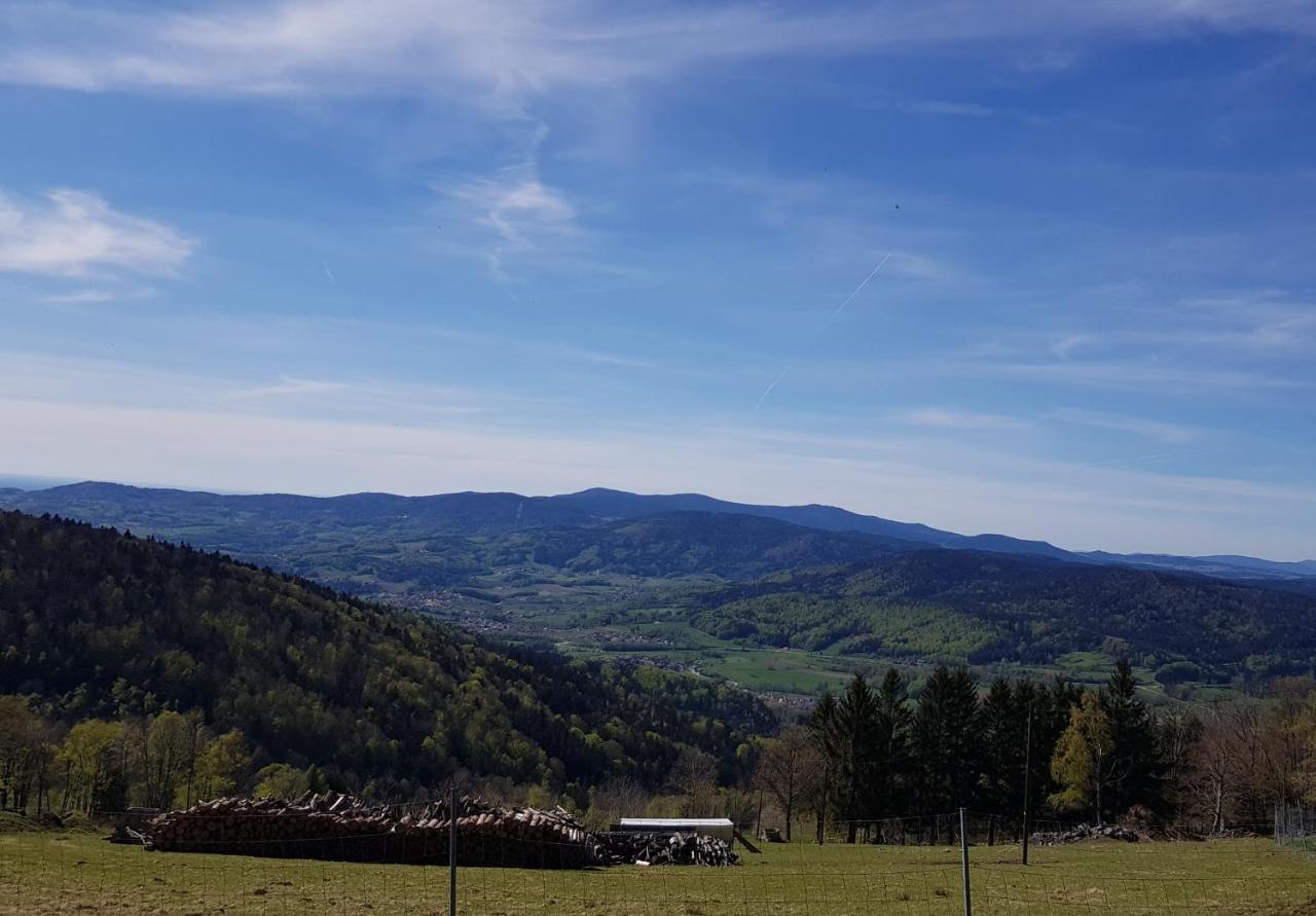 Ferienwohnung 32 Im Ferienland Sonnenwald - Bayerischer Wald Schöfweg Exterior foto