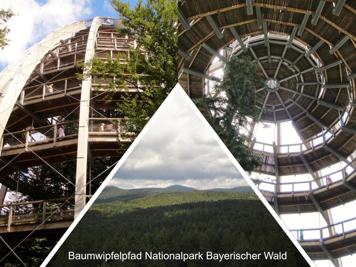 Ferienwohnung 32 Im Ferienland Sonnenwald - Bayerischer Wald Schöfweg Exterior foto