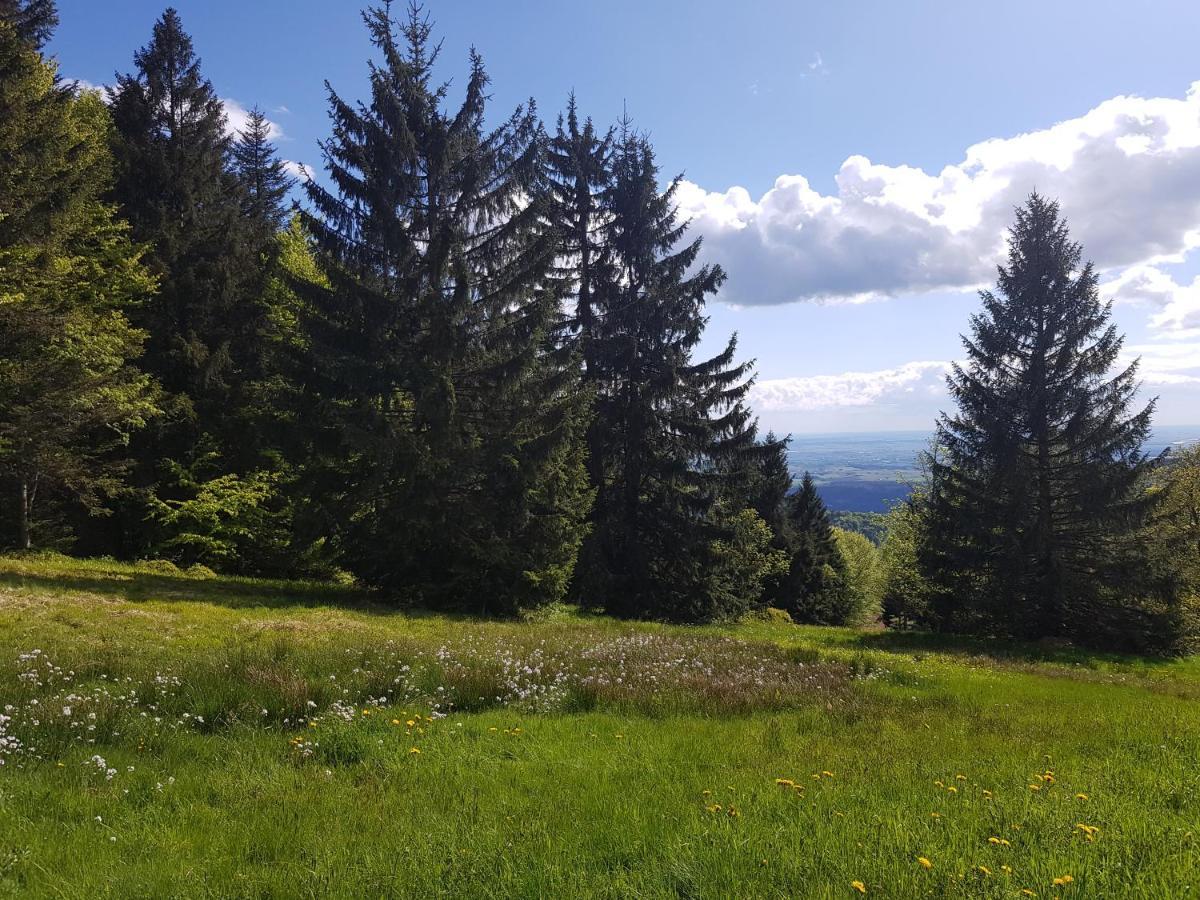 Ferienwohnung 32 Im Ferienland Sonnenwald - Bayerischer Wald Schöfweg Exterior foto