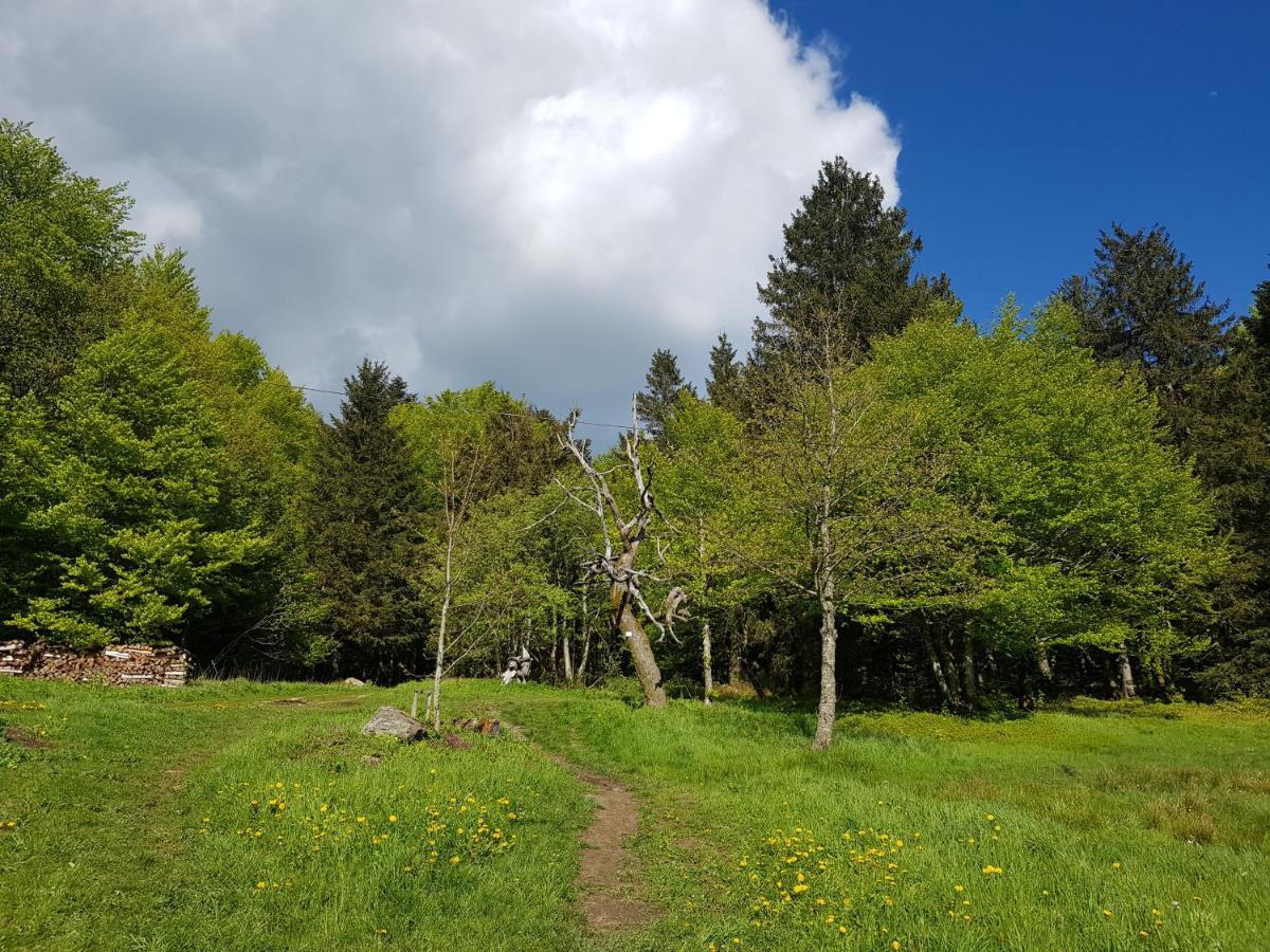 Ferienwohnung 32 Im Ferienland Sonnenwald - Bayerischer Wald Schöfweg Exterior foto